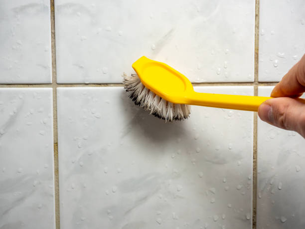 Reliable Vandenberg Village, CA Mold Remediation Solutions